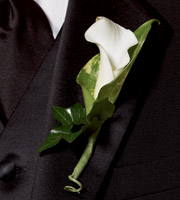 BOUTONNIERE PROMESSE LYS CALLA