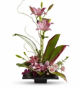 arrangement Eclat d'orchidees cymbidium 