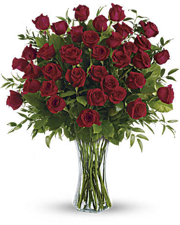 Beaute de 3 douzaines de roses 