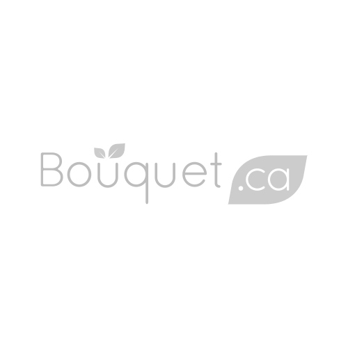 BOUQUET.CA'S FLORAL CHOICE