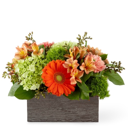 BOUQUET BONJOUR, MAGNIFIQUE