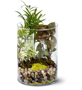 Jardin de verre