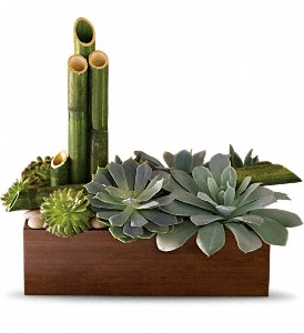 Jardin zen