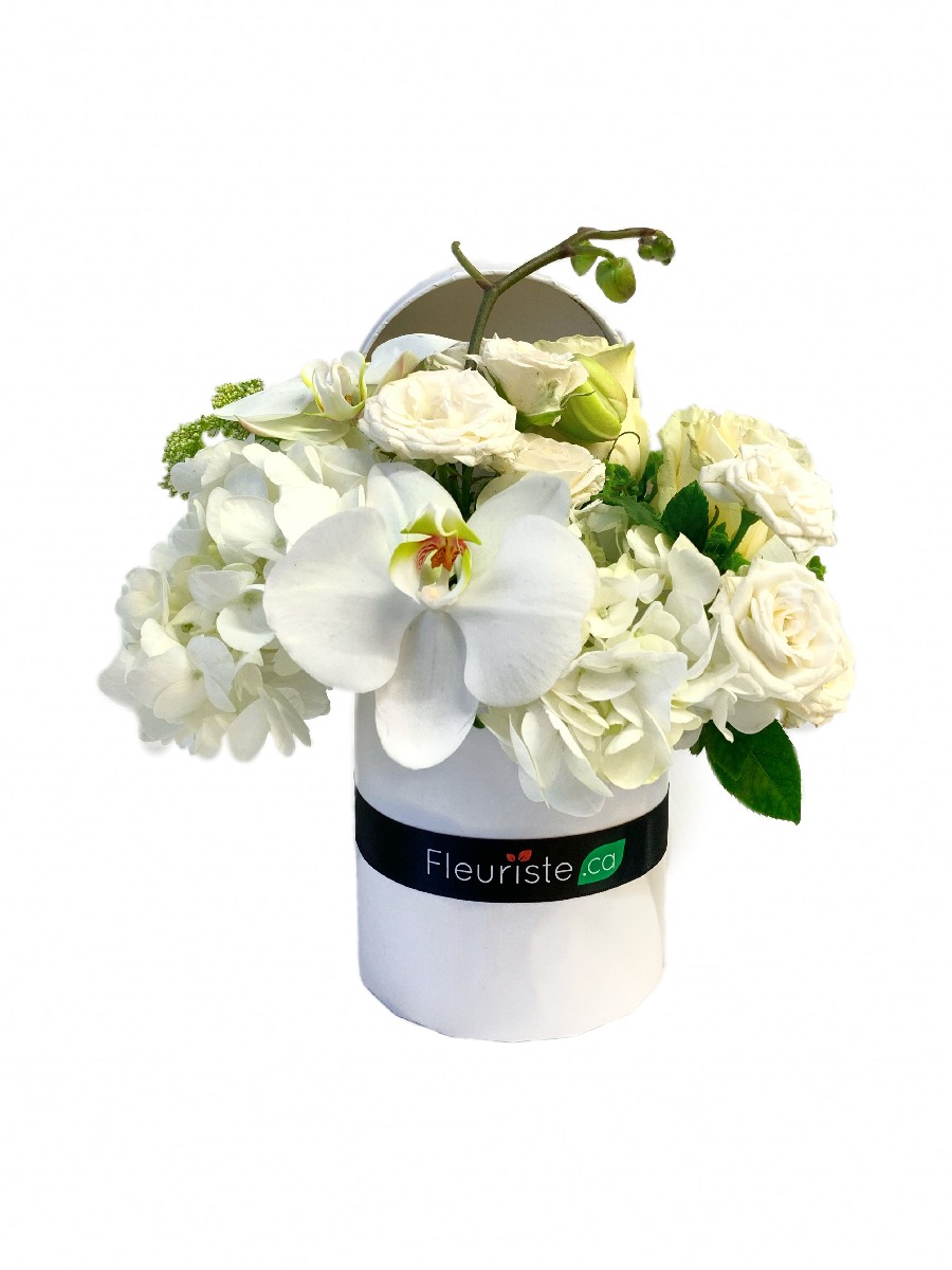 BOITE A FLEURS BLANCHES CONTEMPORAINES 