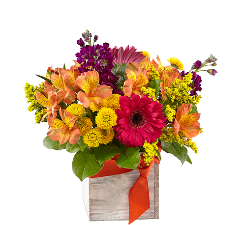 BOUQUET LA VIE DE LA FETE