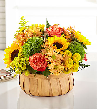 Panier Tournesols de Recolte